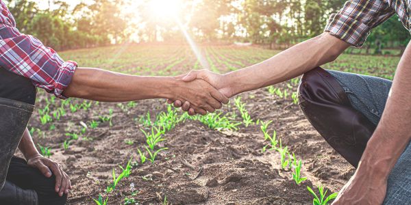 Servizio civile in agricoltura, Enapa pronto ad accogliere e formare i giovani tra i 18 e i 29 anni